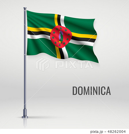 Waving flag on flagpole 48262004