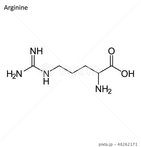 Skeletal Formula Of Argenineのイラスト素材
