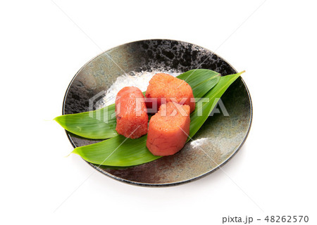 辛子明太子 辛子明太子 48262570