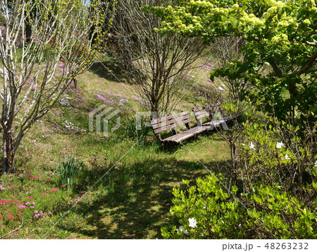 初夏の日差しとベンチ 初夏の日差しとベンチ 48263232