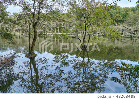 井頭公園02 井頭公園02 48263488