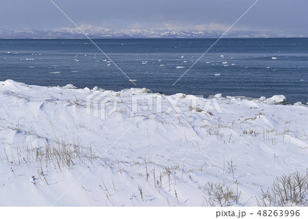 【北海道　標津町】根室海峡の流氷 48263996