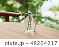 テーブルの花瓶 48264217