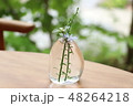 テーブルの花瓶 48264218