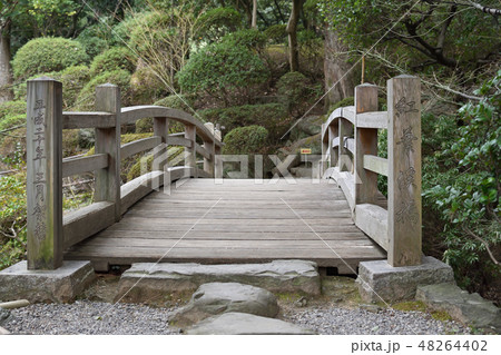 紅葉渓橋 紅葉渓橋 48264402