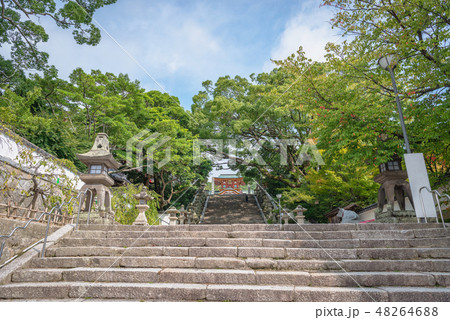 防府天満宮参道風景 48264688