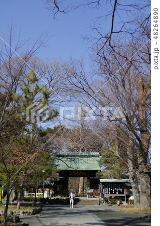 九品仏浄真寺の冬 九品仏浄真寺の冬 48264890