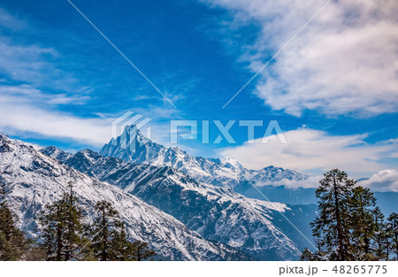 Panoramic view of Machapuchare Peak. Nepal Panoramic view of Machapuchare Peak. Nepal 48265775