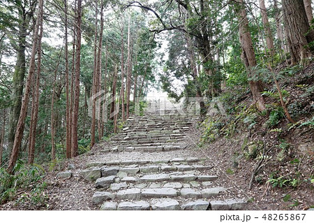 安土城 安土城 48265867