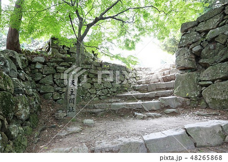 安土城 安土城 48265868