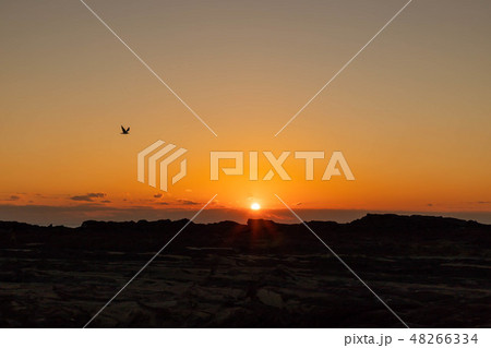 城ヶ島の夕暮れ 城ヶ島の夕暮れ 48266334