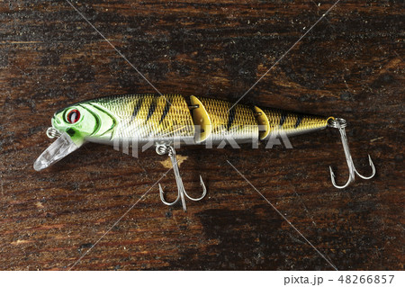 Artificial lure spinning. 48266857