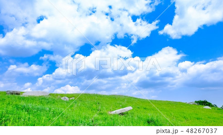 さわやかな高原風景 48267037