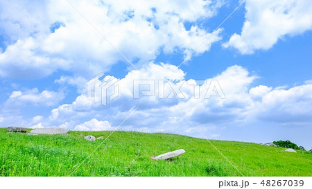 さわやかな高原風景 48267039