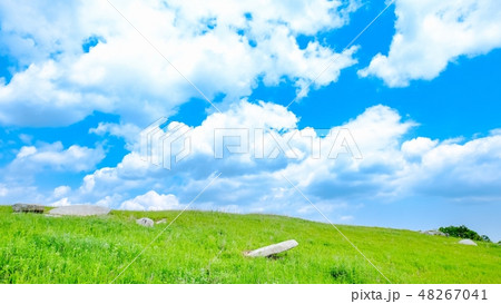さわやかな高原風景 48267041
