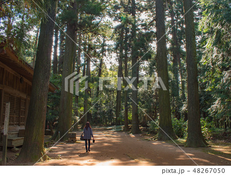 杉林と檀林講堂跡 48267050