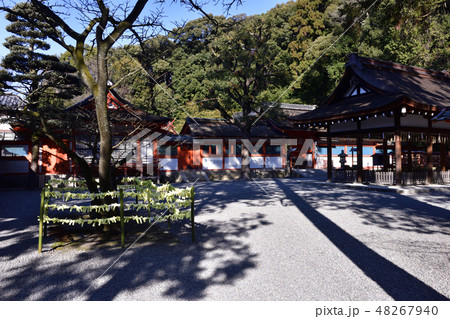 吉田神社　本宮 48267940