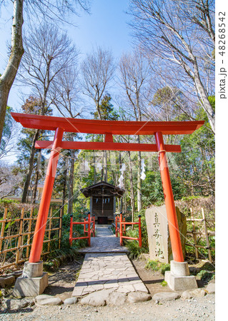 国分寺市 真姿の池 真姿弁財天 国分寺市 真姿の池 真姿弁財天 48268542