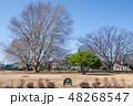 国分寺市 史蹟 武蔵国分寺址 48268547