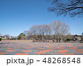 国分寺市 史蹟 武蔵国分寺址 48268548