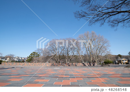 国分寺市 史蹟 武蔵国分寺址 48268548