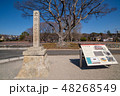 国分寺市 史蹟 武蔵国分寺址 48268549
