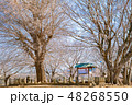 国分寺市 史蹟 武蔵国分寺址 七重塔跡 48268550