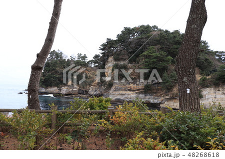 五浦海岸の海食崖 48268618