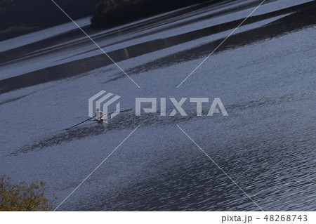 神通川、川、富山、水、秋 48268743