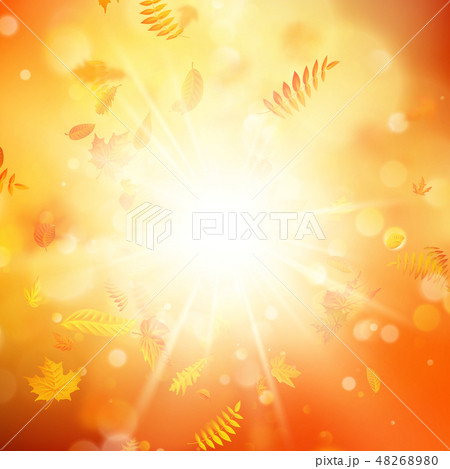 Autumn background with natural leaves and bright sunlight. EPS 10 48268980