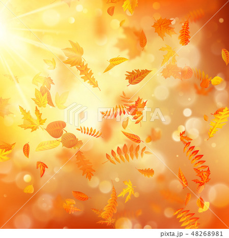 Autumn background with natural leaves and bright sunlight. EPS 10 48268981