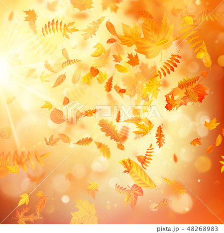 Autumn background with natural leaves and bright sunlight. EPS 10 48268983
