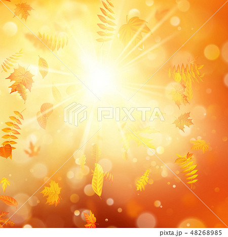 Autumn background with natural leaves and bright sunlight. EPS 10 48268985