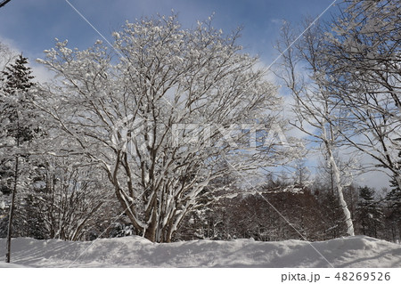 豪雪地帯の風景 48269526