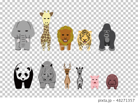 面向動物 48271357