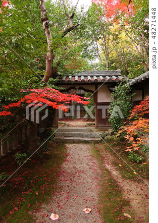 愛知県　名古屋　桃巌寺 48271448