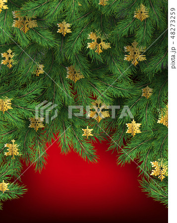 Christmas tree branches on red background. EPS 10 48273259