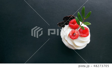 Delicious raspberry cupcakes on dark background 48273705
