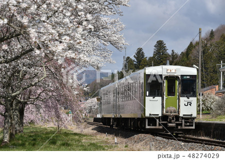 桜と列車 48274029