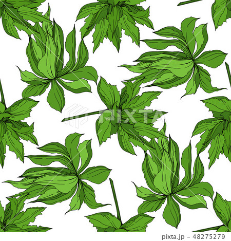 Vector Jungle botanical succulent flower. Engraved ink art illustration. Seamless background pattern 48275279