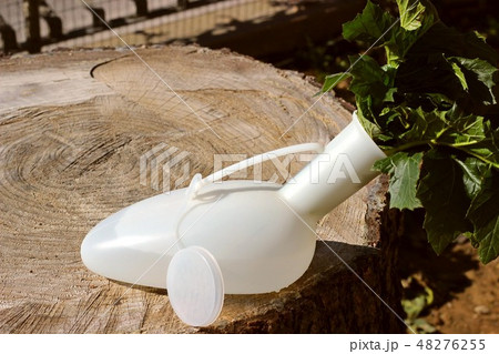 Plastic urinal used as flowers pot. Plastic urinal used as flowers pot. 48276255