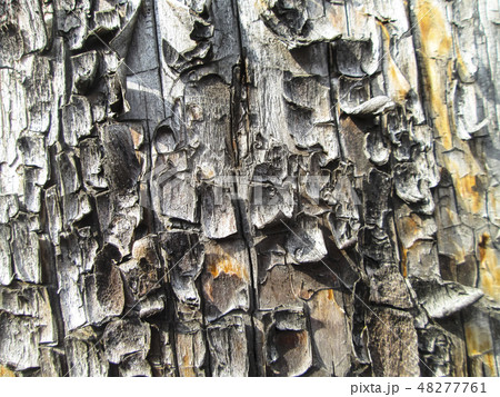 Wooden background 48277761