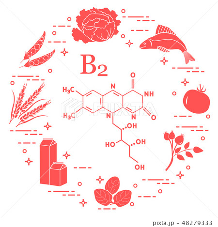 Foods rich in vitamin B2 Fish, peas and other. Foods rich in vitamin B2 Fish, peas and other. 48279333