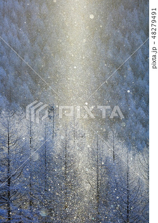 霧ヶ峰の霧氷とダイヤモンドダストとサンピラー 霧ヶ峰の霧氷とダイヤモンドダストとサンピラー 48279491