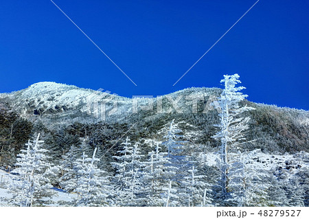 雪の坪庭 48279527