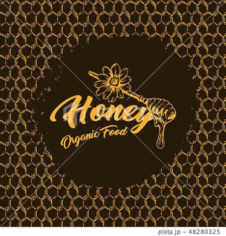 Honey Bee, Sketch Logo Design with Honeycomb Pattern. Vintage hand drawn isolated illustration. 48280325