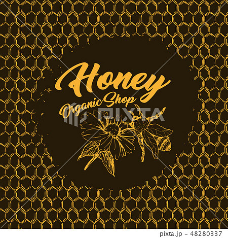 Honey Bee, Sketch Logo Design with Honeycomb Pattern. Vintage hand drawn isolated illustration. Honey Bee, Sketch Logo Design with Honeycomb Pattern. Vintage hand drawn isolated illustration. 48280337