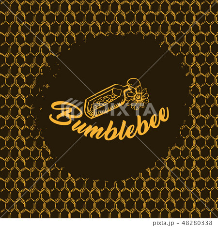 Honey Bee, Sketch Logo Design with Honeycomb Pattern. Vintage hand drawn isolated illustration. 48280338