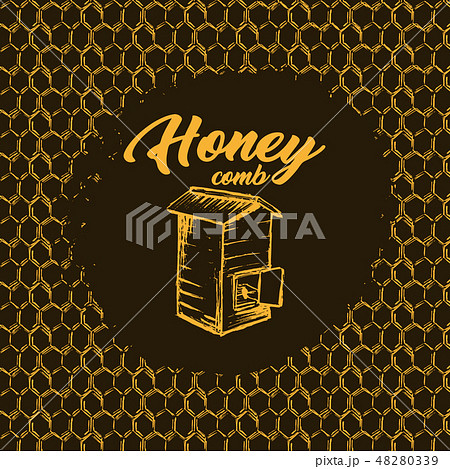 Honey Bee, Sketch Logo Design with Honeycomb Pattern. Vintage hand drawn isolated illustration. 48280339