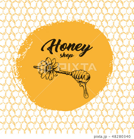 Honey Bee, Sketch Logo Design with Honeycomb Pattern. Vintage hand drawn isolated illustration. 48280340